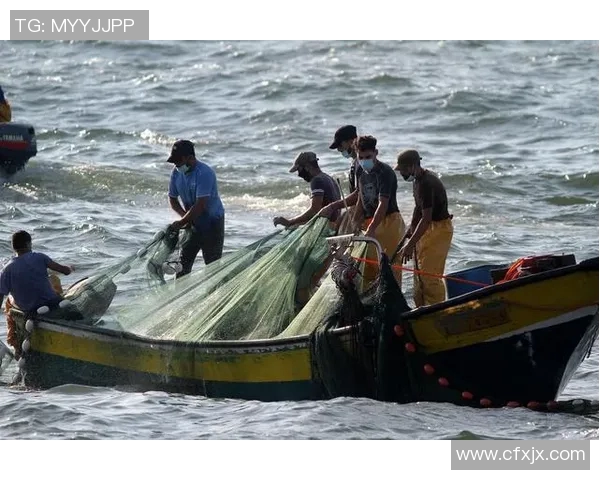 加沙新捕鱼法抗空袭:海中的抗争与生存之道 加沙新捕鱼法抗空袭:海中的抗争与生存之道